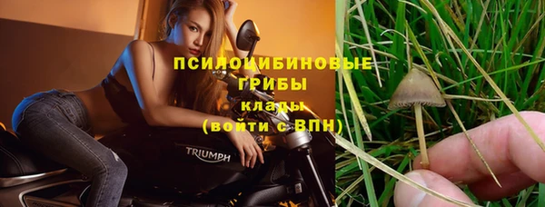 прущая мука Покачи