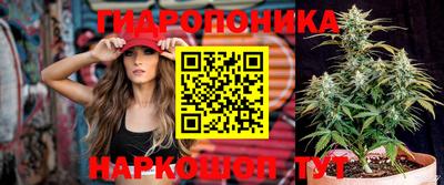 скорость Будённовск