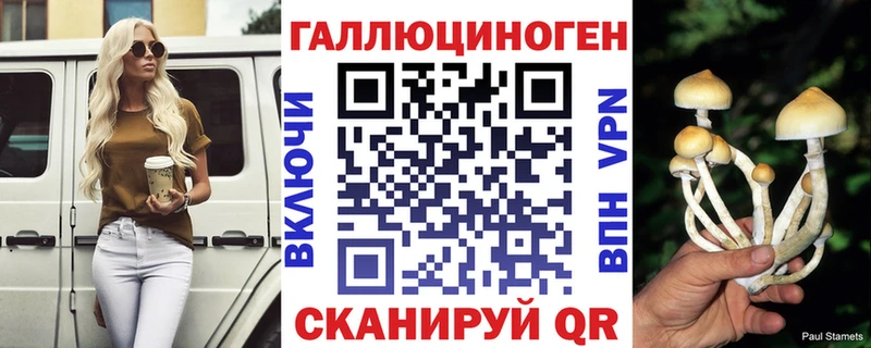 Псилоцибиновые грибы Psilocybine cubensis  нарко площадка наркотические препараты  Новошахтинск 