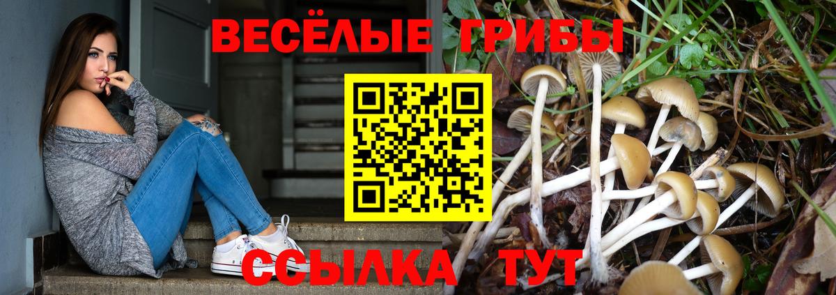 Галлюциногенные грибы MAGIC MUSHROOMS  хочу   Новошахтинск  Галлюциногенные грибы GOLDEN TEACHER 