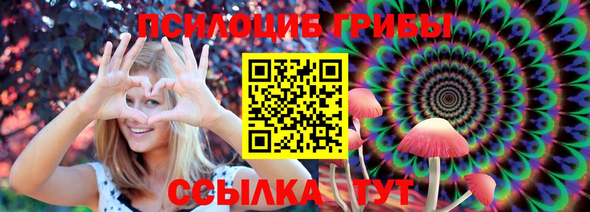 Псилоцибиновые грибы ЛСД Новошахтинск