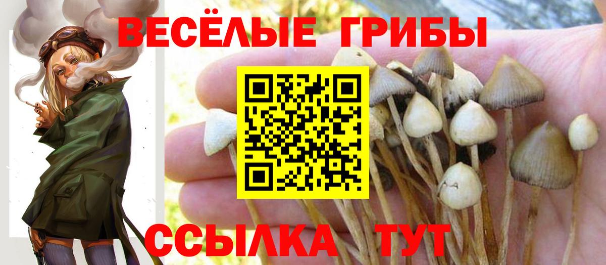 Гашиш Новошахтинск